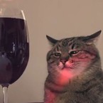 Ира Плескачева