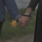 بدلا-من الشمس