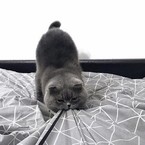 Виктория Саламатина