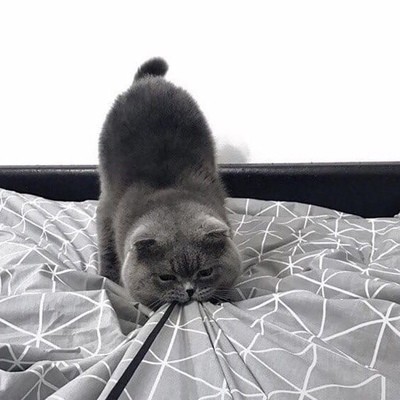 Виктория Саламатина