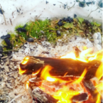 Виталий Поздникин