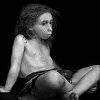 Дмитрий Жулёв