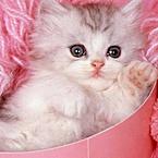 Татьяна Таткина