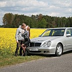 Стас Свибович