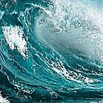 Милена Каршова