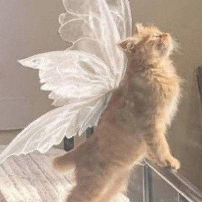 فلادا سينكوفا