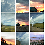 Алена Шуткина