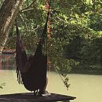 Арина Лосева