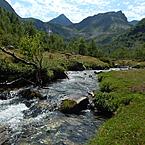 Ольга Мамцева