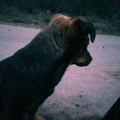 Юрий Форостов