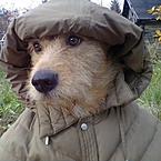 Матвей Иванов