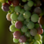 Опанас Жуев