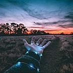 Ира Ливадняя