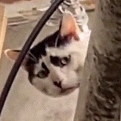 Человек В-Футляре