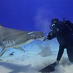 Денис Заболотний