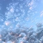 Вероника Шевченко