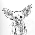 Одухотворенный опоссум