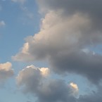 Виолетта Гарбузова