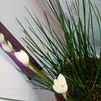 Андрей Кузнецов