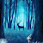 Элиза Гусейнова