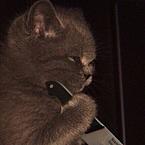 Гани Советбек