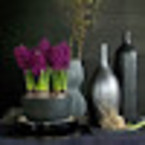 наталья рыжкова