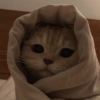 Тая Пахомкина