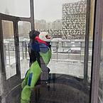 Надежда Фомичева