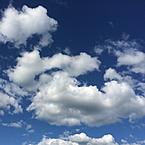 Сардаана Крылова