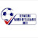 ПЕРМСКАЯ МИНИ ФУТБОЛЬНАЯ ЛИГА 5Х5 