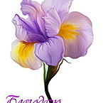 Ирина Ирина