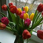 Гуля Сорокина