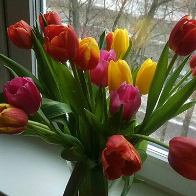 Гуля Сорокина