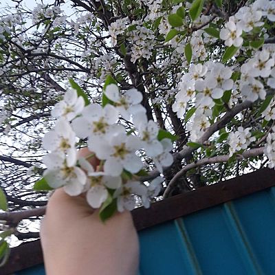 Қазына Наршаева