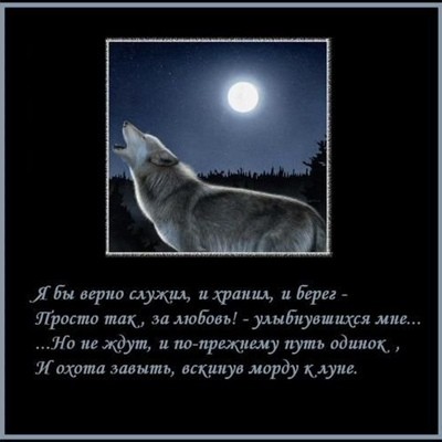 Илья Пронин