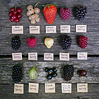 Руслан Алиев