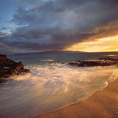 Алексей Воронин