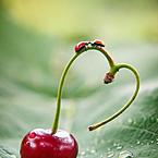 Татьяна Бабкина