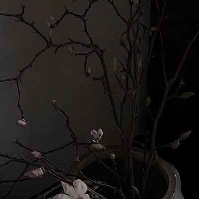 Влада Крохолева 