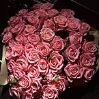 Аяулым Арипхан