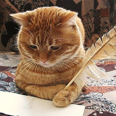 Юлия Андреева