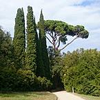 Камила Исламова