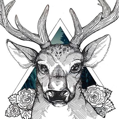 Юлия Шабанова