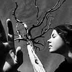 Анастасия Тихомирова