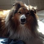 Анастасия Андреева