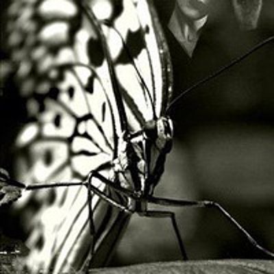 Екатерина Акулёнок