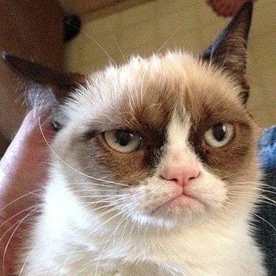 Никита Коровякин