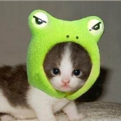 Алина Янцен