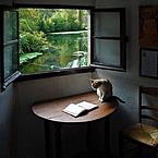 Владимир Борисов