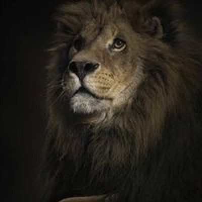 Олег Владимирович Рыбников